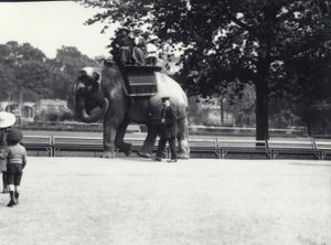 Un éléphant asiatique monté par deux dames et une jeune fille, avec un gardien à ses côtés, Zoo de Londres, mai 1914